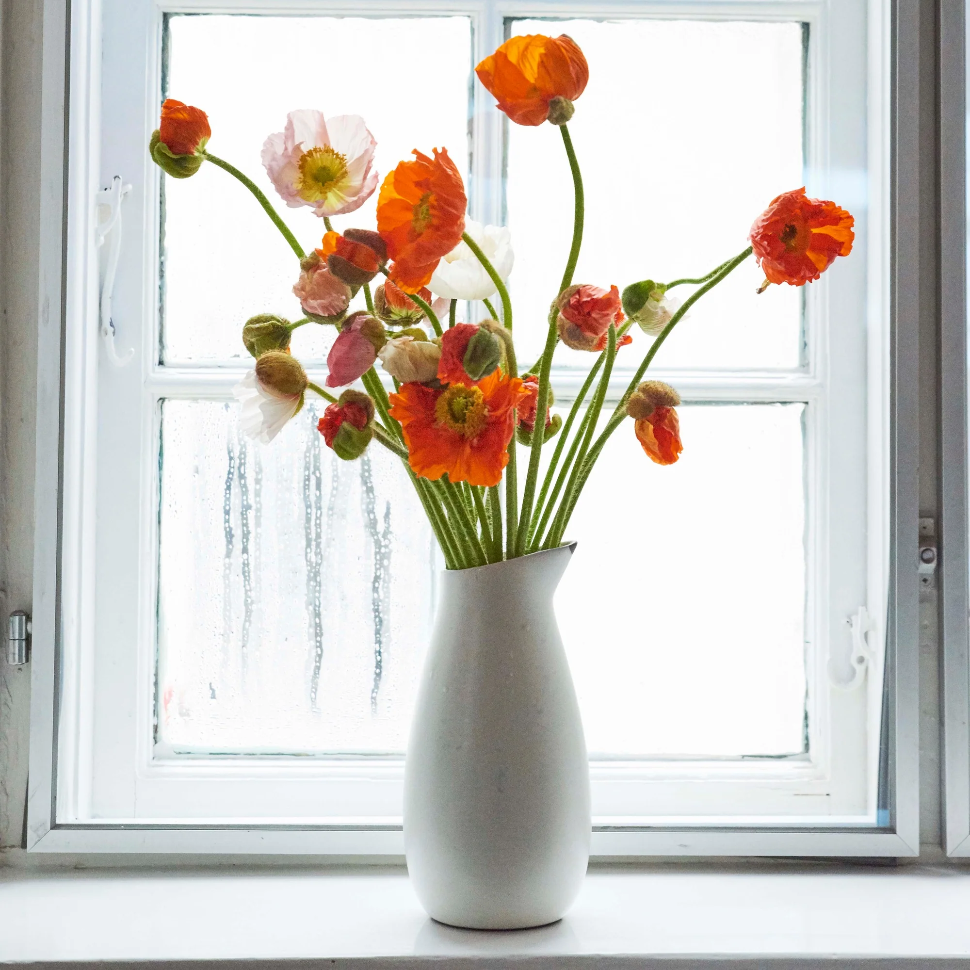 RAW karaffel | Arctic White - Image 5