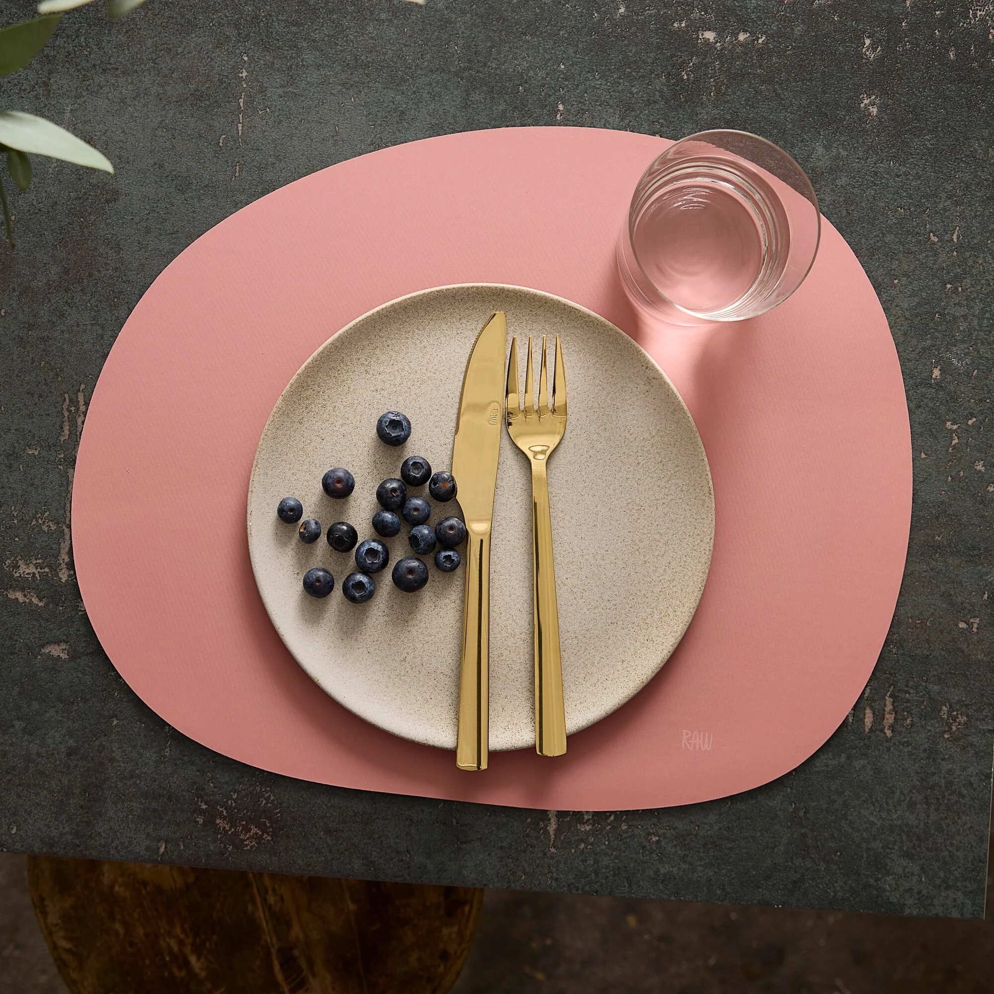 RAW Silikone dækkeserviet | Spice Rose - Image 2